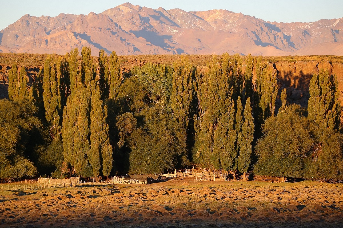 Paisajes de la estepa patagónica y de la casa de una productora certificada en el Parque Nacional Laguna Blanca. / © Federico Gregorio